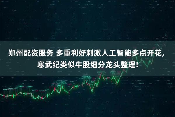 郑州配资服务 多重利好刺激人工智能多点开花, 寒武纪类似牛股细分龙头整理!