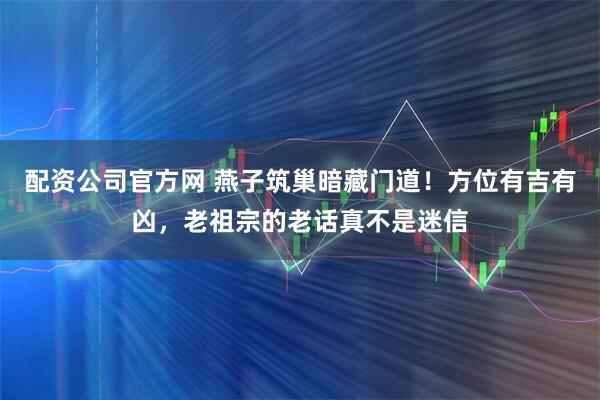 配资公司官方网 燕子筑巢暗藏门道！方位有吉有凶，老祖宗的老话真不是迷信